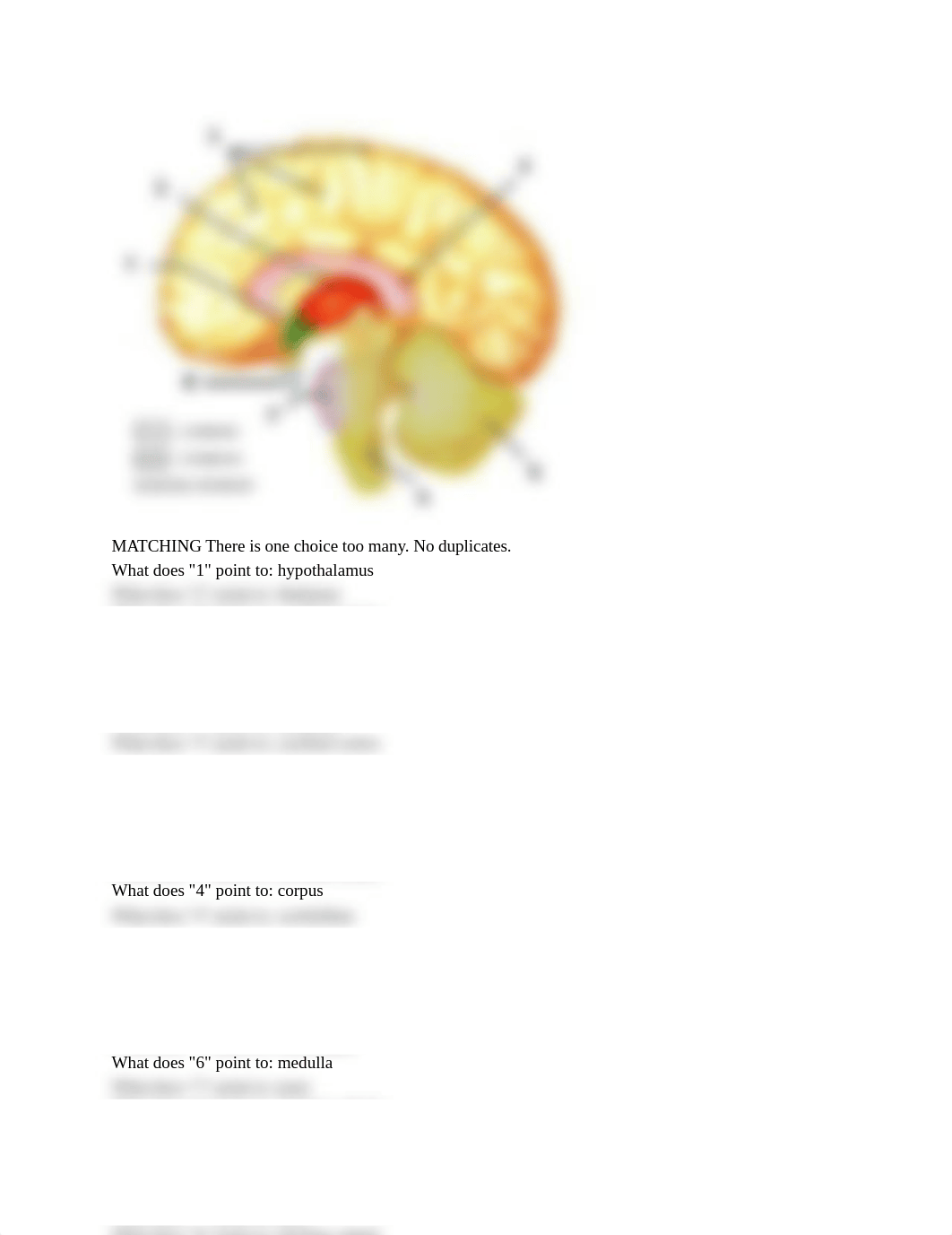 Biopsychology Quiz.pdf_dvccvgojmrh_page1