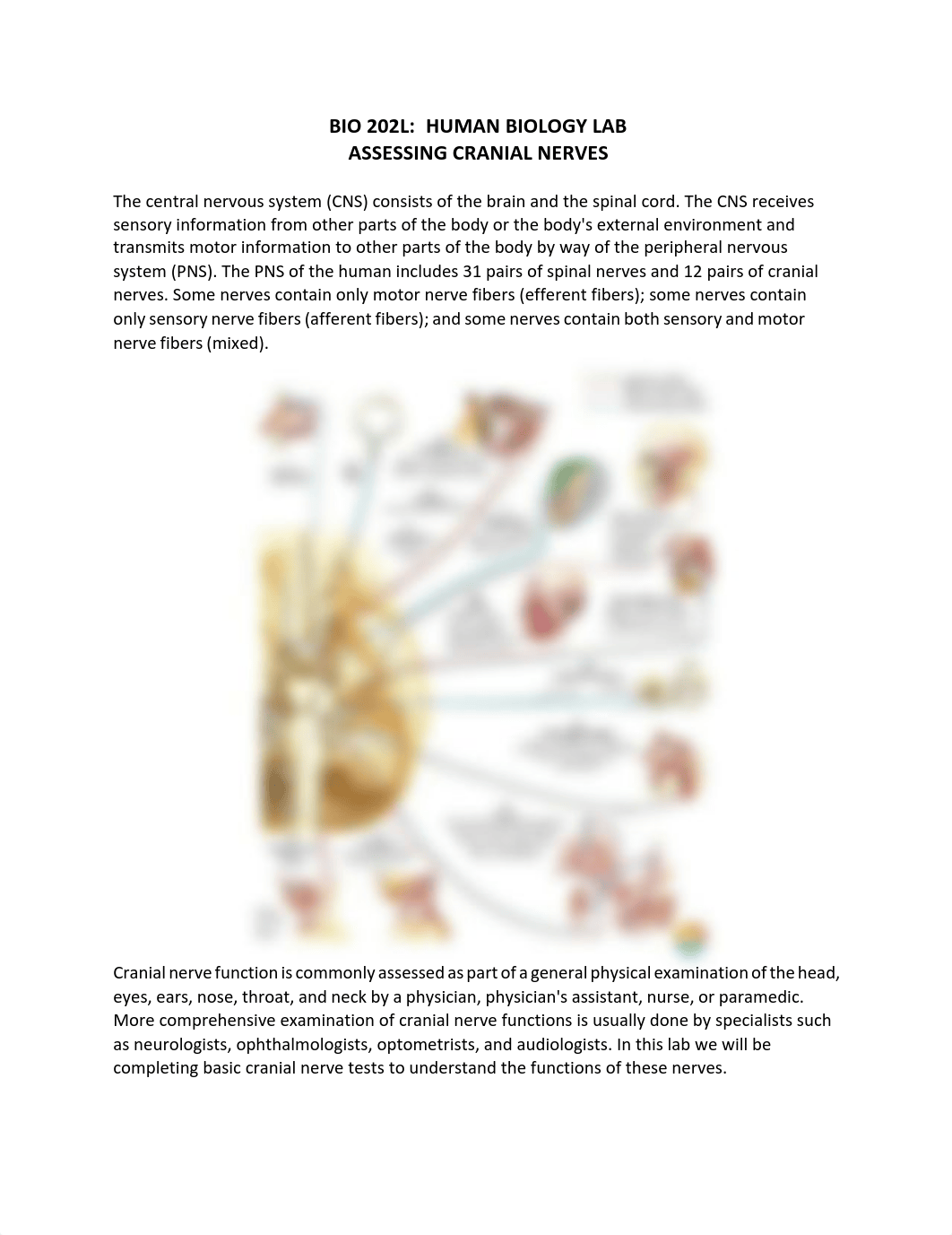 Bio202L Cranial Nerve Assessment Lab (1).pdf_dvcg61uvatz_page1