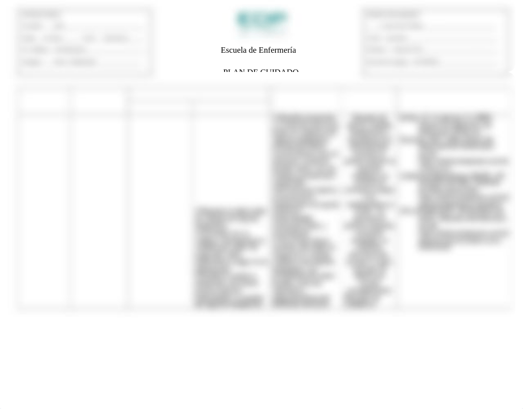 TABLA PLAN DE CUIDADO RIESGO.doc_dvco4hp9gp1_page1