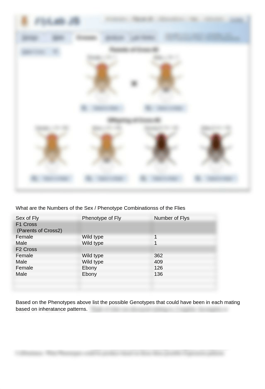 Mendeliian Genetics Drosophila Remote (1) (1) (2).docx_dvctegmb3jz_page5