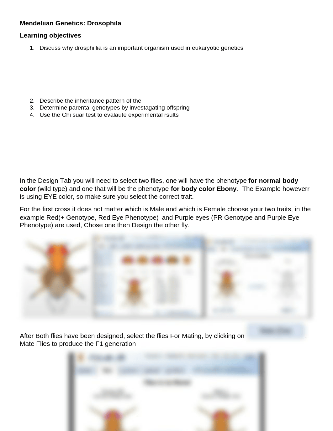 Mendeliian Genetics Drosophila Remote (1) (1) (2).docx_dvctegmb3jz_page1