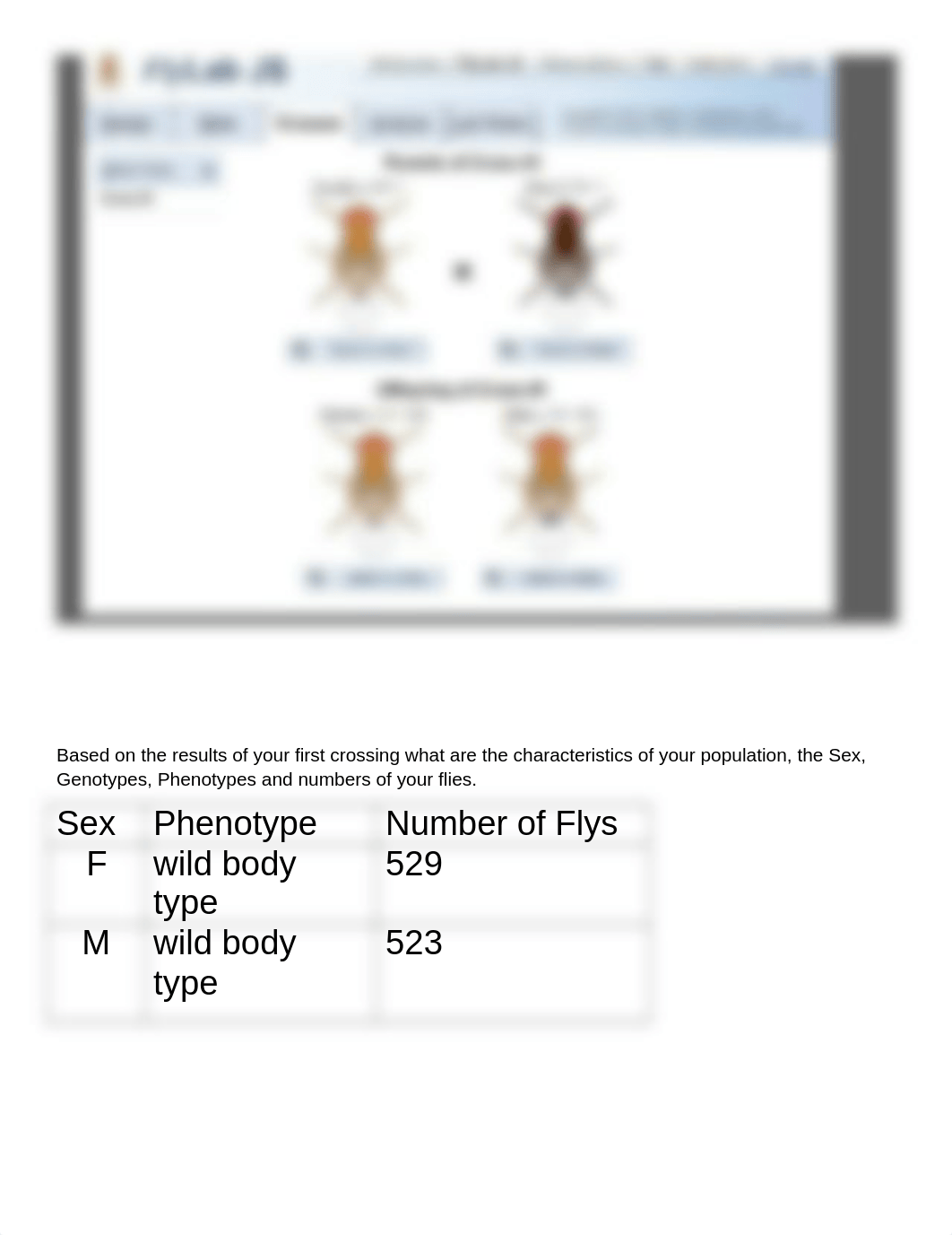 Mendeliian Genetics Drosophila Remote (1) (1) (2).docx_dvctegmb3jz_page3