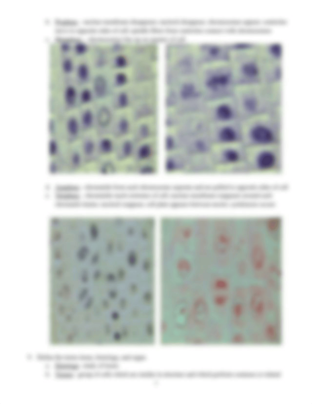 Microscope and Histology Major Lab Exam Learning Objectives.docx_dvcwy92dqkh_page3