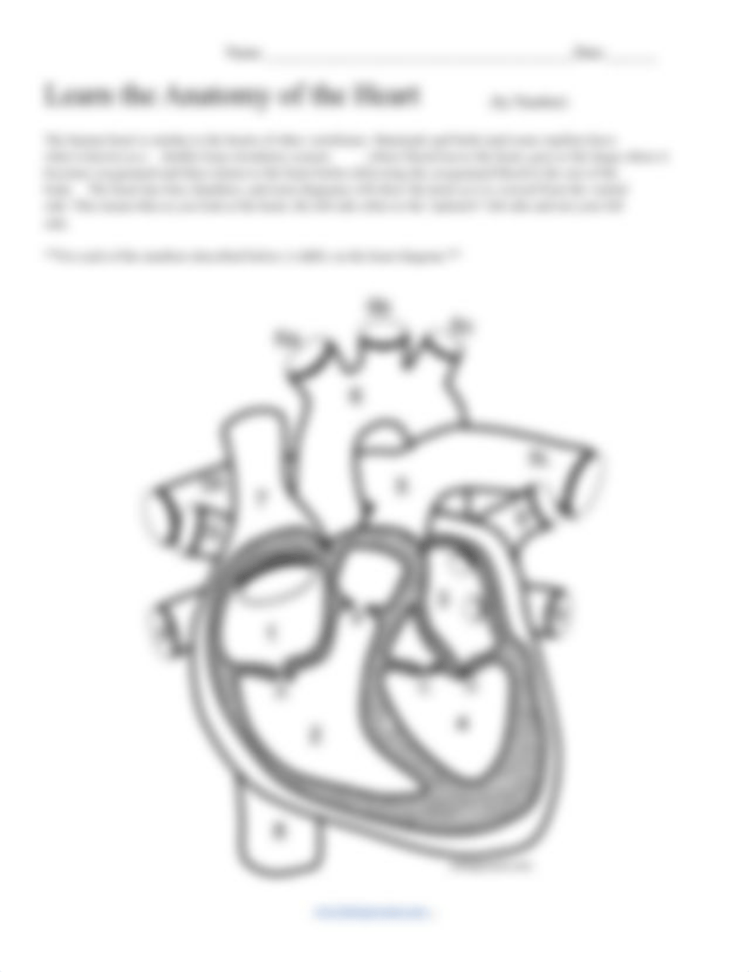 LearntheAnatomyoftheHeartKEY-1.pdf_dvcxoel5bpa_page2