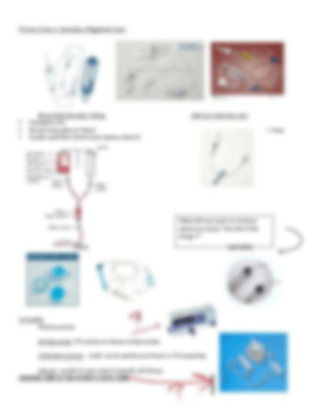 Infusion Therapy Power Notes.docx_dvd0lpmqucn_page4