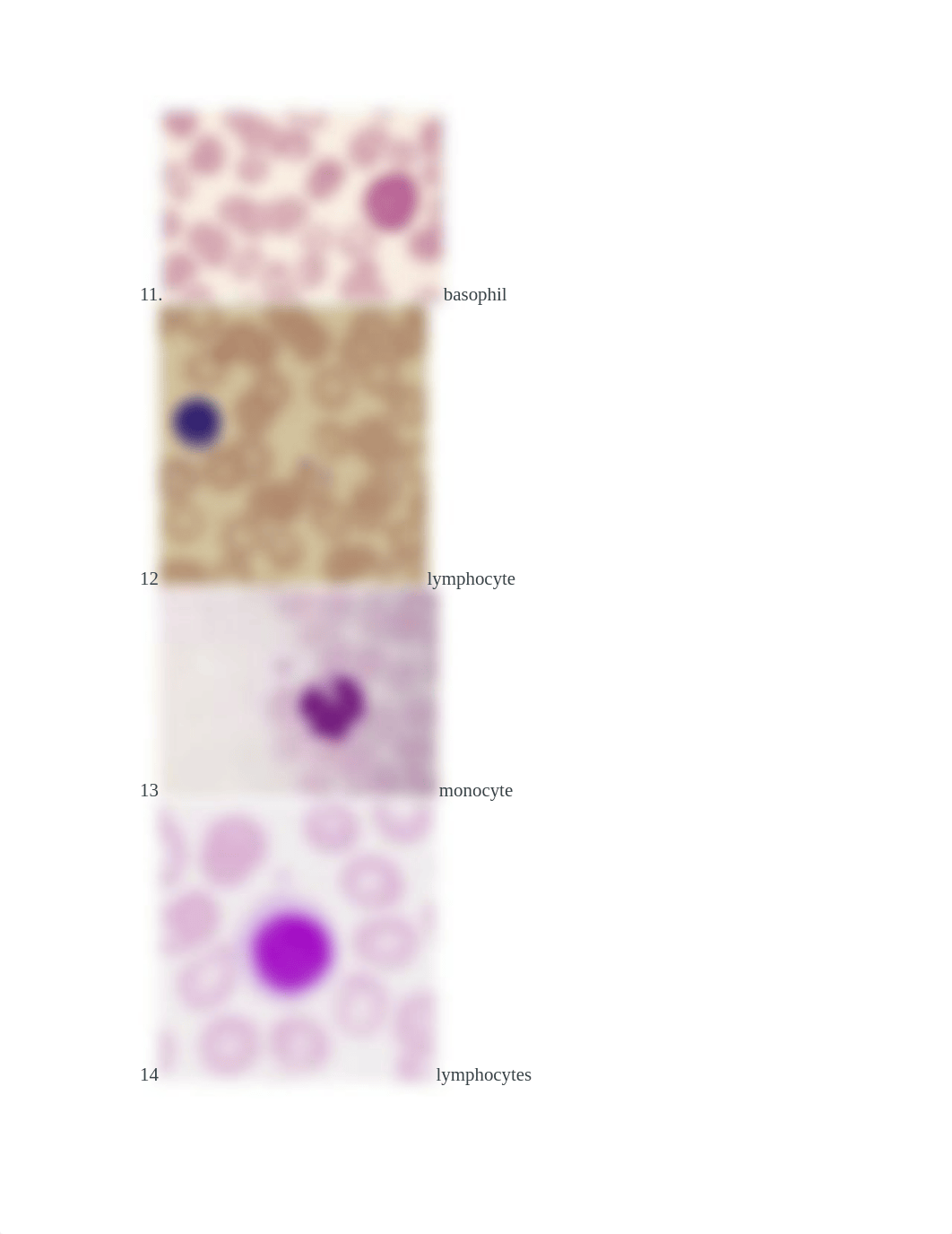 Lab Exam 1 Blood Questions_dvd23go1wo5_page2