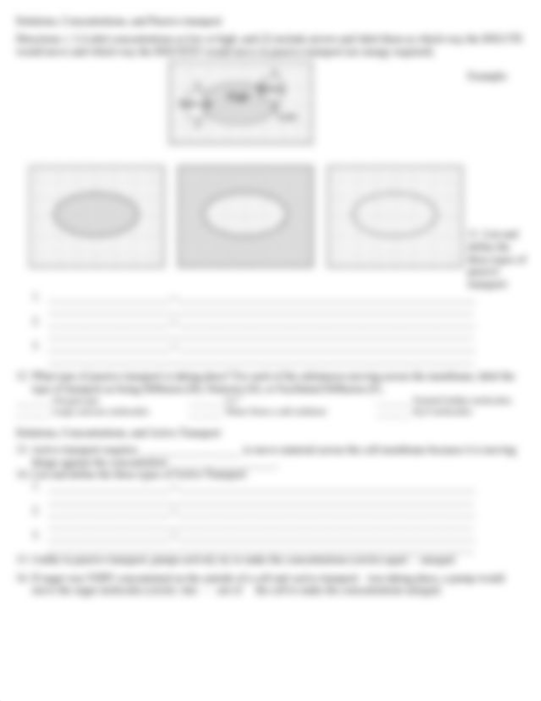 08-cellmembraneworksheet.docx (1).pdf_dvd9zl0n4sn_page2