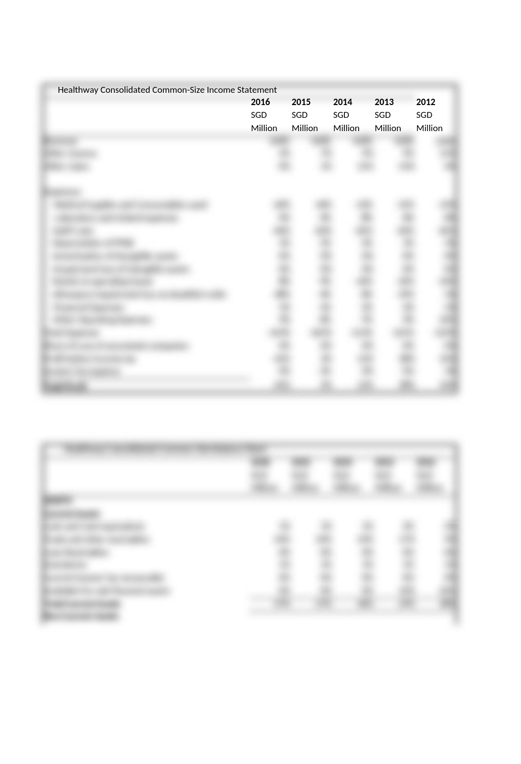 Healthway Excel.xlsx_dvdoz94w45x_page5