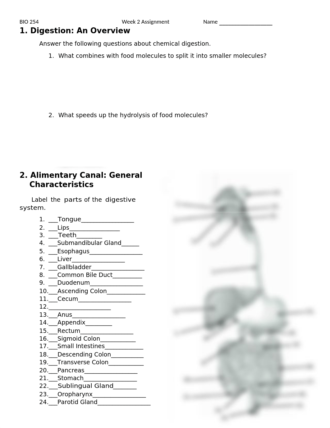 BIO 254 - W2 -ASSIGNMENT 2 - DIGESTIVE SYSTEM.docx_dvdq4ij0f0m_page1