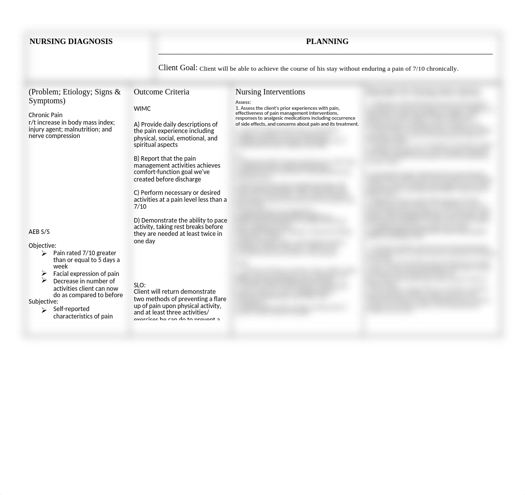 Chronic Pain Care Plan.doc_dvdrk4h2abi_page1