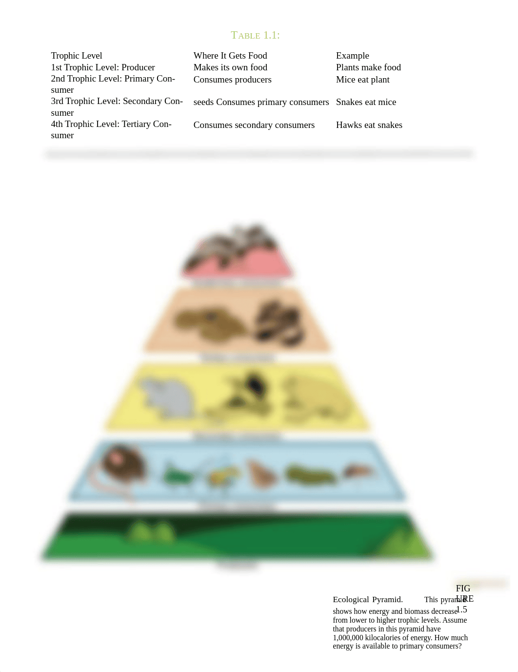 Food-Chains-and-Food-Webs Article.docx_dvdty0kp9tw_page5