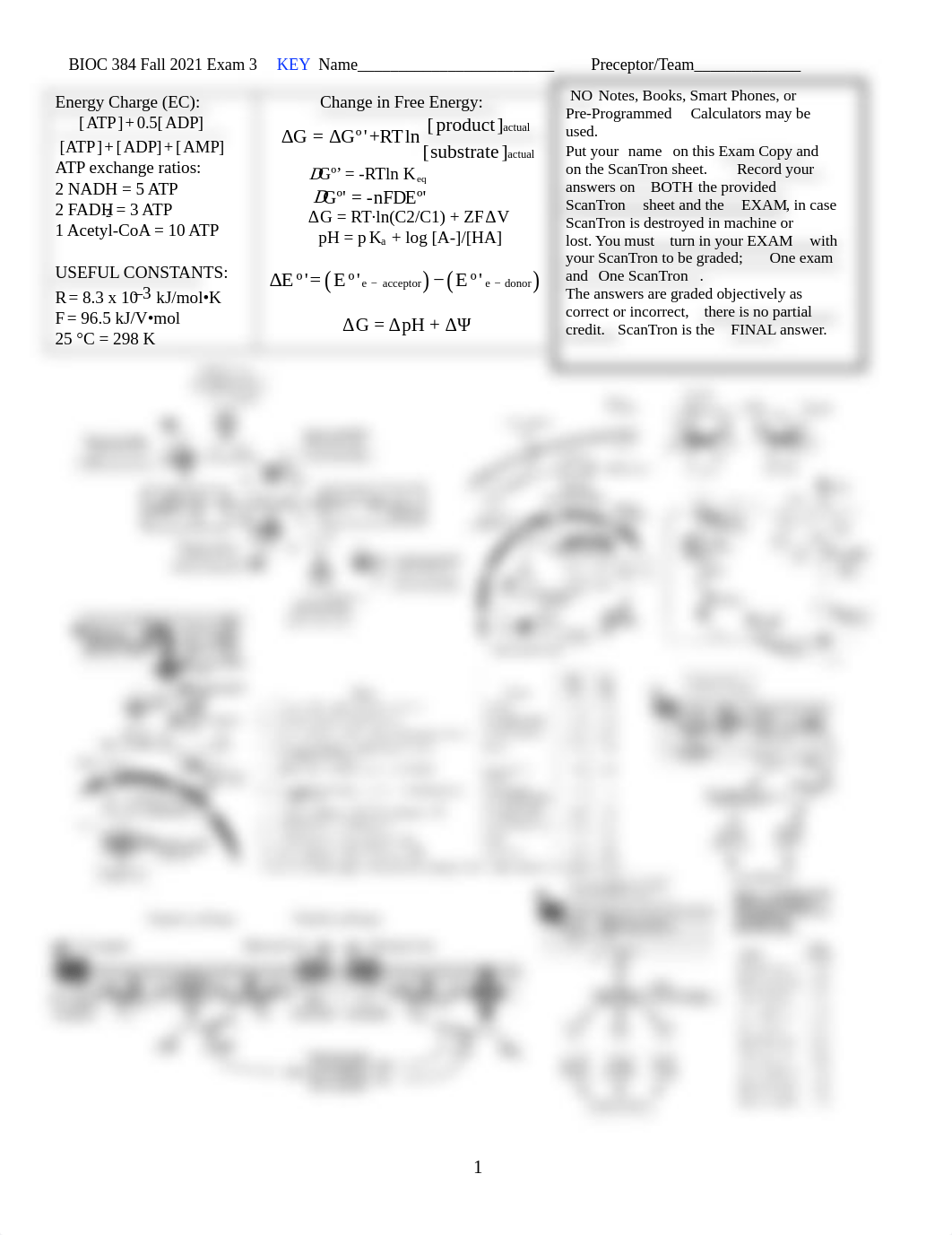 Bioc384-Exam3-Fall2021-KEY.pdf_dvdu8y4790j_page1