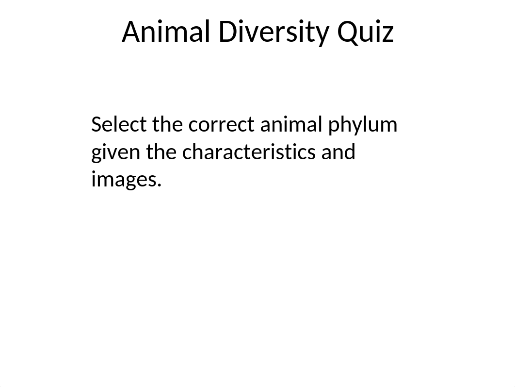 animal diversity lab quiz.odp_dve2es0h4wq_page1