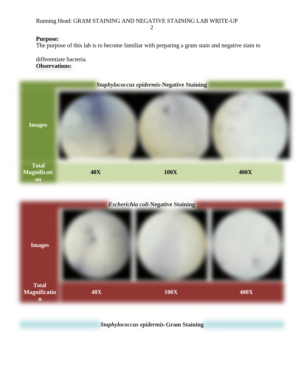 Microbiology-Gram Staining and Negative Staining Lab Write-Up.docx_dve5daxivel_page2