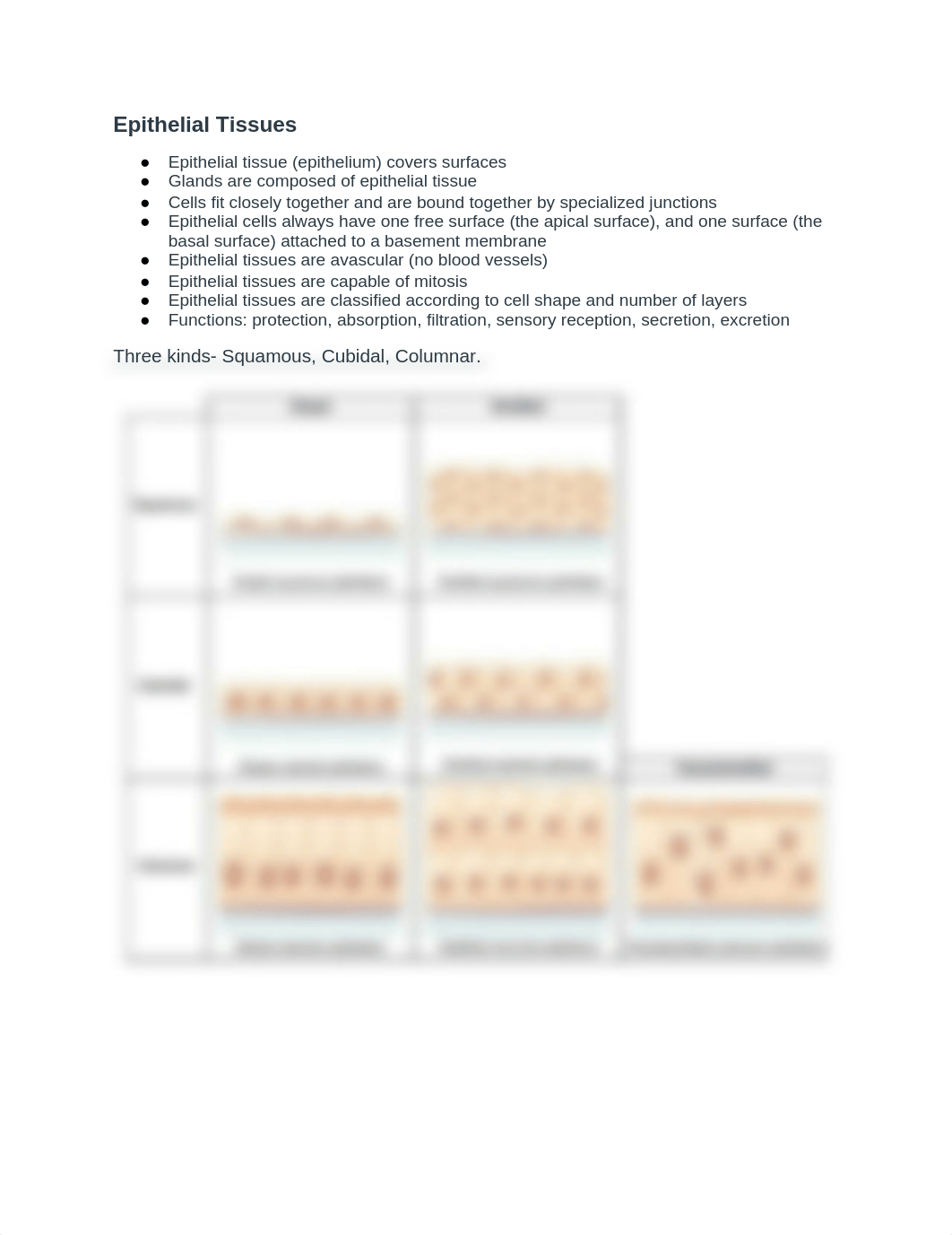 Epithelial Tissues_dvegfoj0lsj_page1