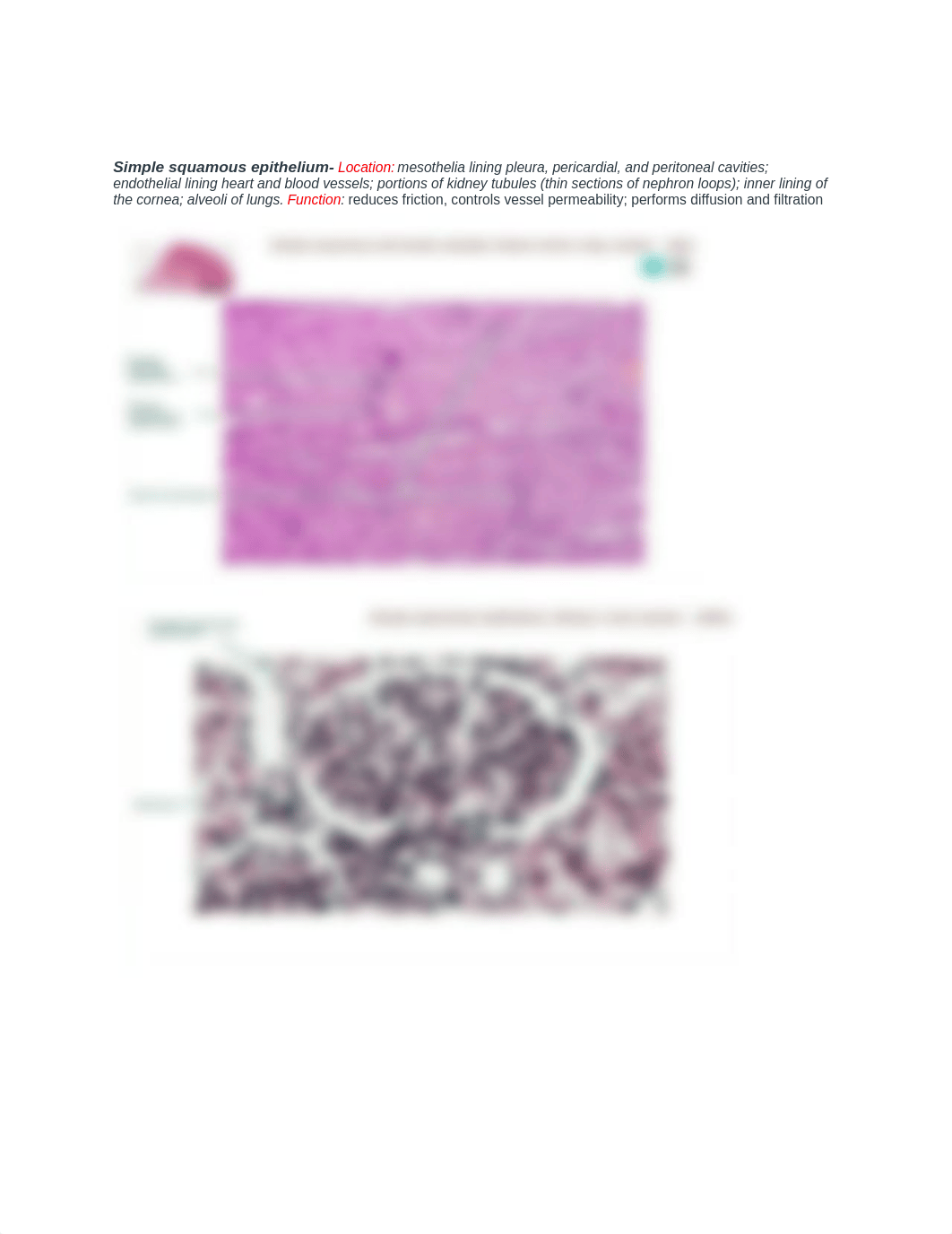 Epithelial Tissues_dvegfoj0lsj_page2