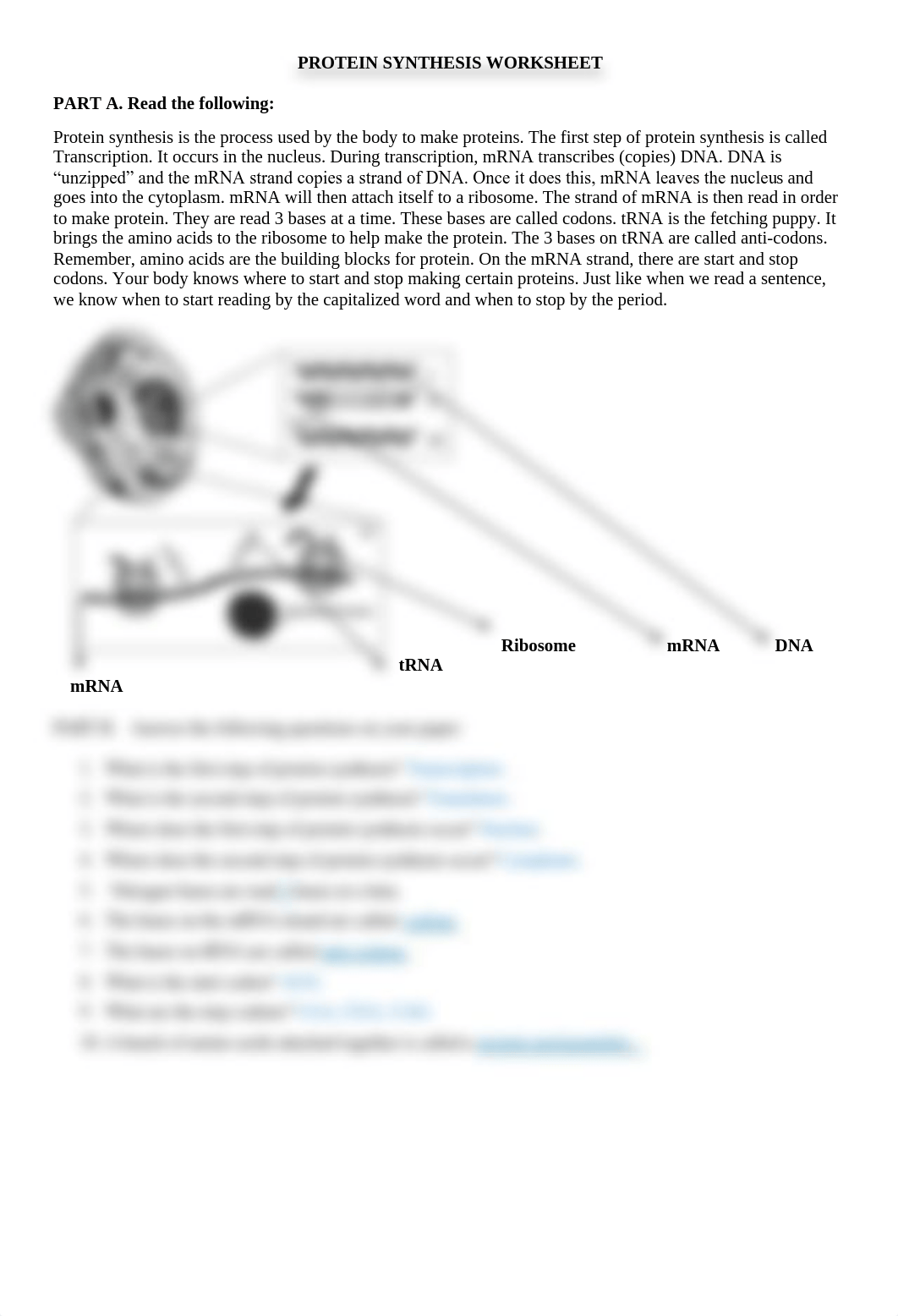 protein-synthesis-worksheet.pdf_dver86cnhm6_page1