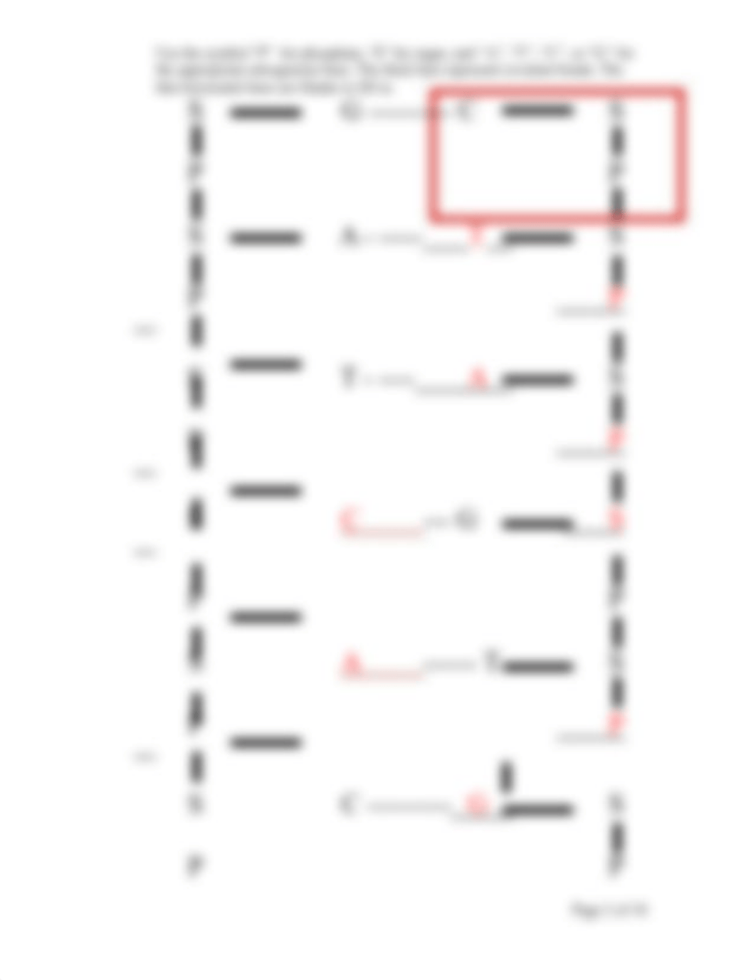 Introduction to Molecular Genetics KEY.doc_dveskkisptb_page2