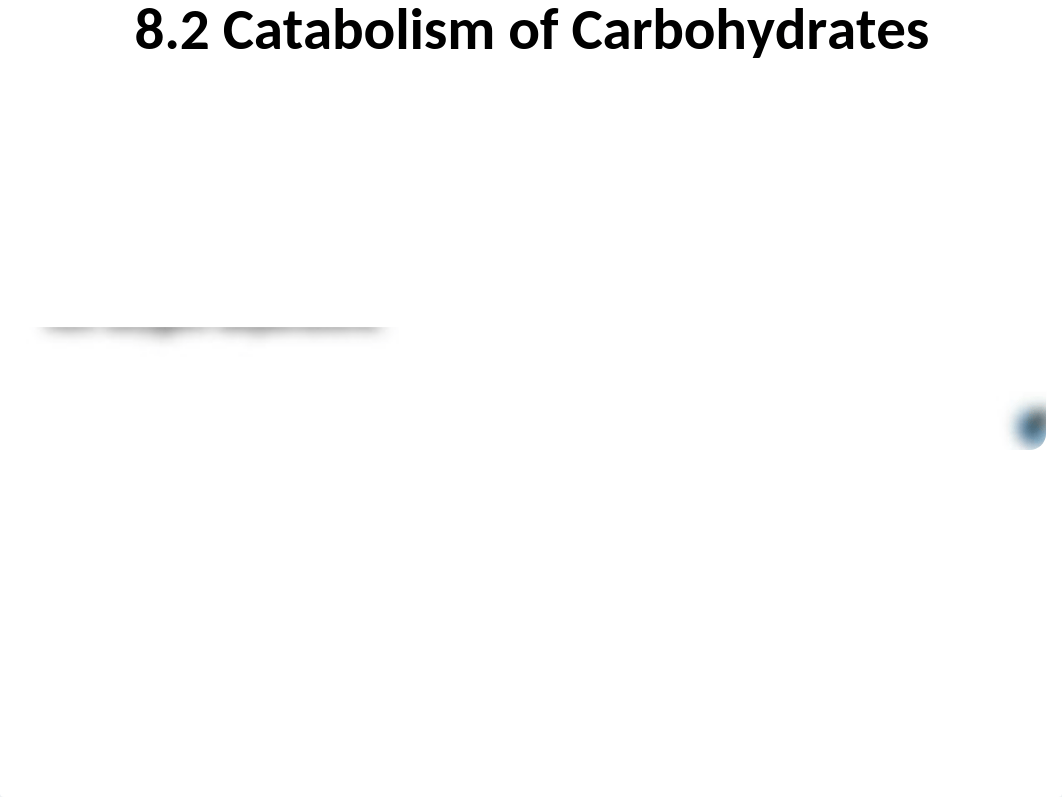 Lesson 8_SLIDES.ppt_dvesrpyf5k0_page3