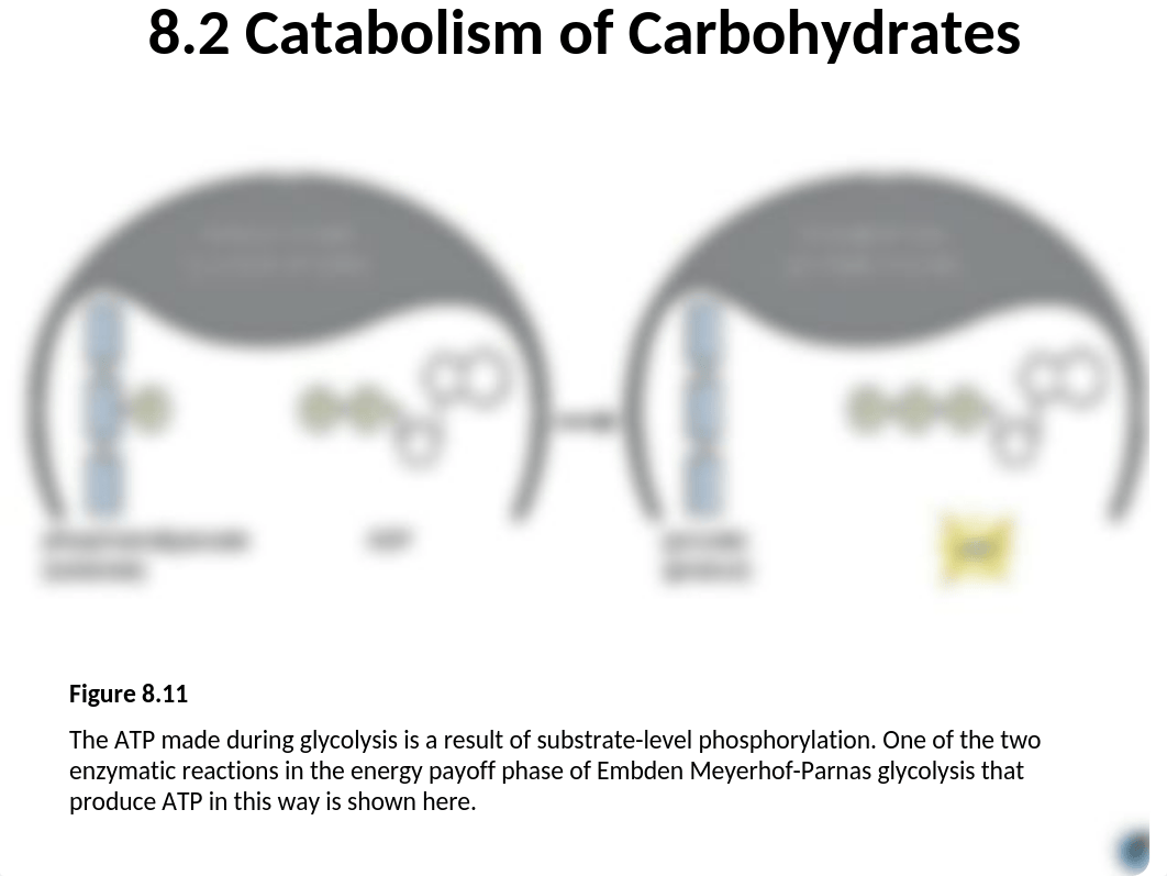 Lesson 8_SLIDES.ppt_dvesrpyf5k0_page4