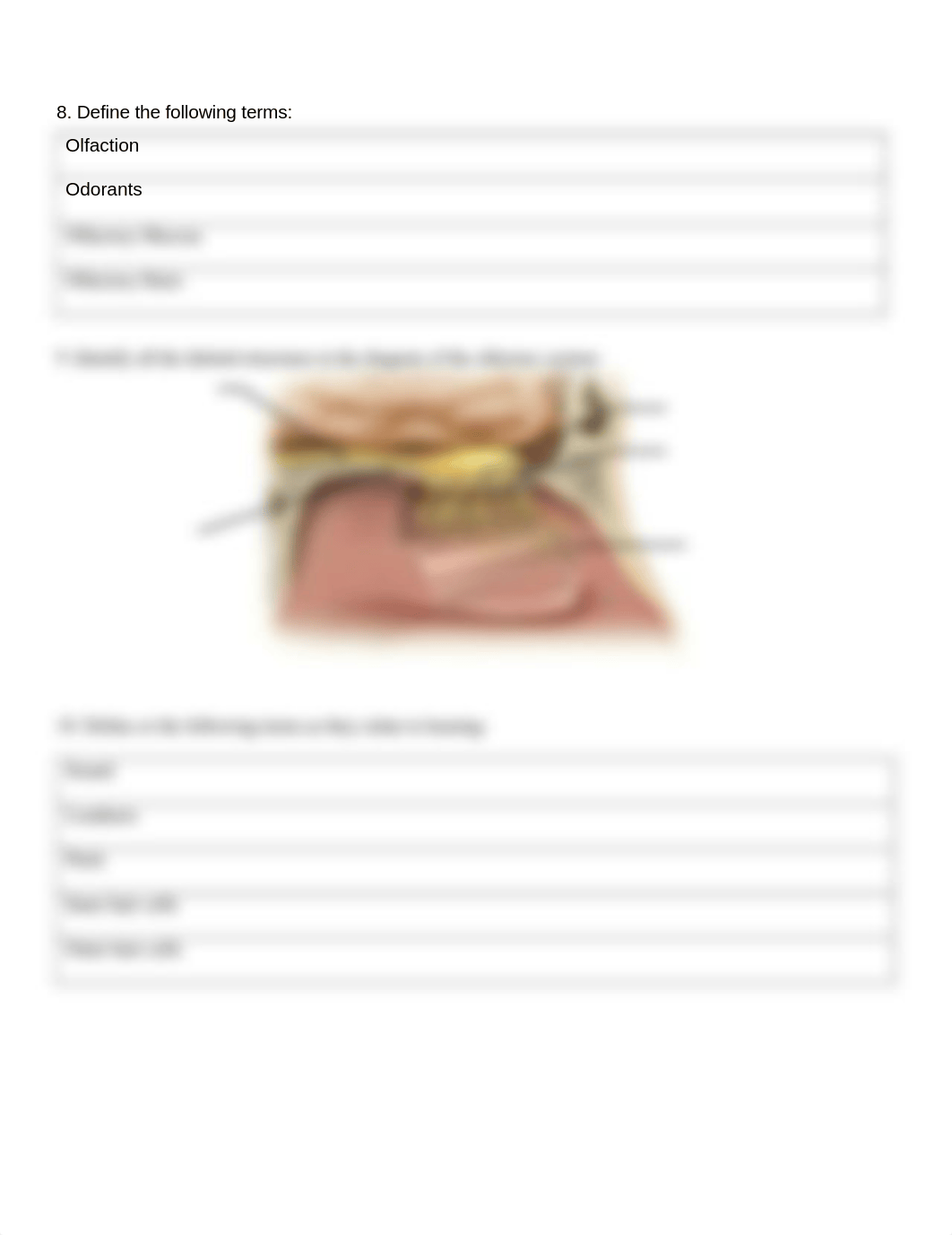 CH 16 Concept Check (A&P2) - The Special Senses.docx_dvet47jzuaf_page3