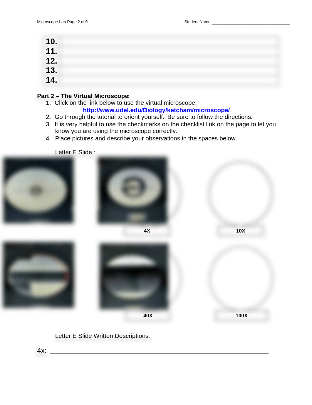 lab2 bio.docx_dveuqa461mg_page2