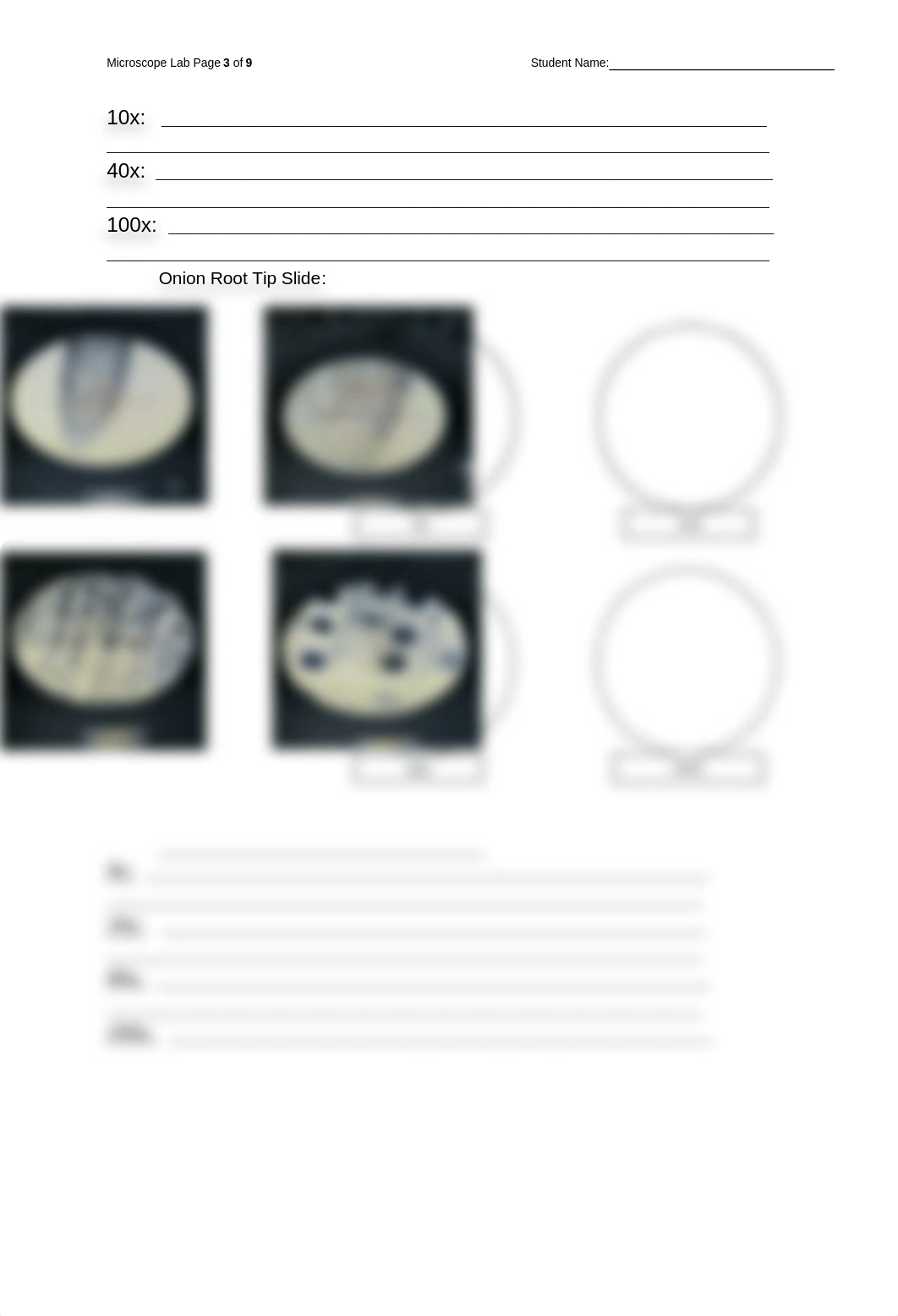 lab2 bio.docx_dveuqa461mg_page3