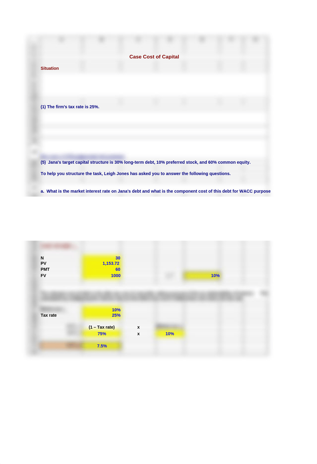 Case Cost of Capital - Sierra Benson.xlsx_dvf0syf5prl_page1