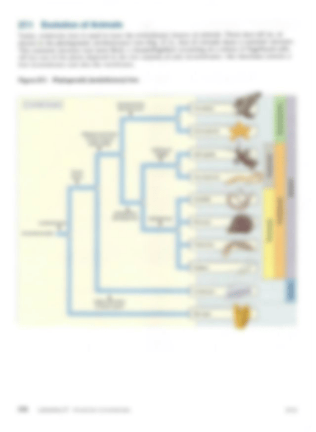 Lab 27 - Introduction  To Invertebrates Unit 27_dvf601osfpp_page2