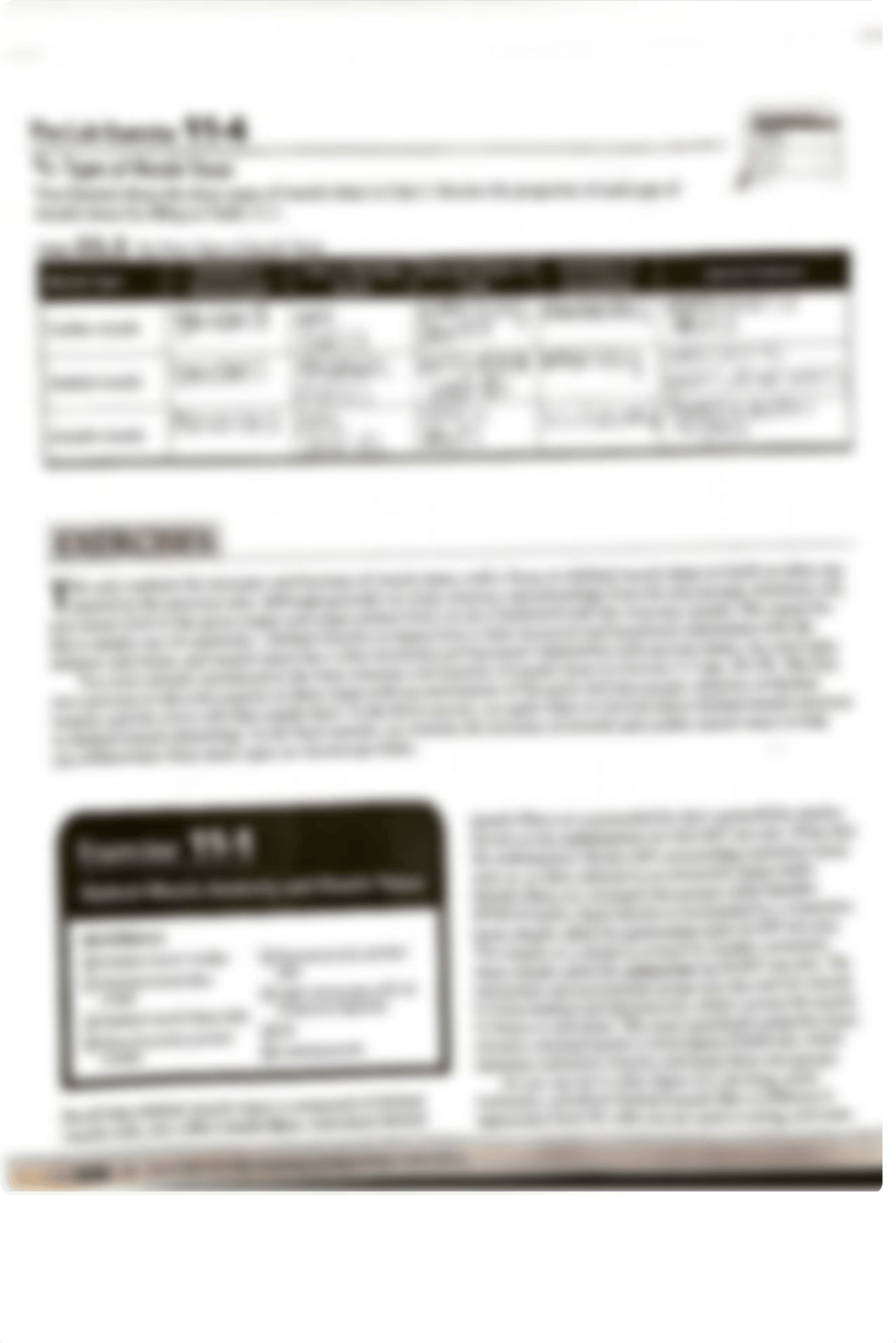 unit 11 lab muscule tissue.pdf_dvfbqv5aw86_page4