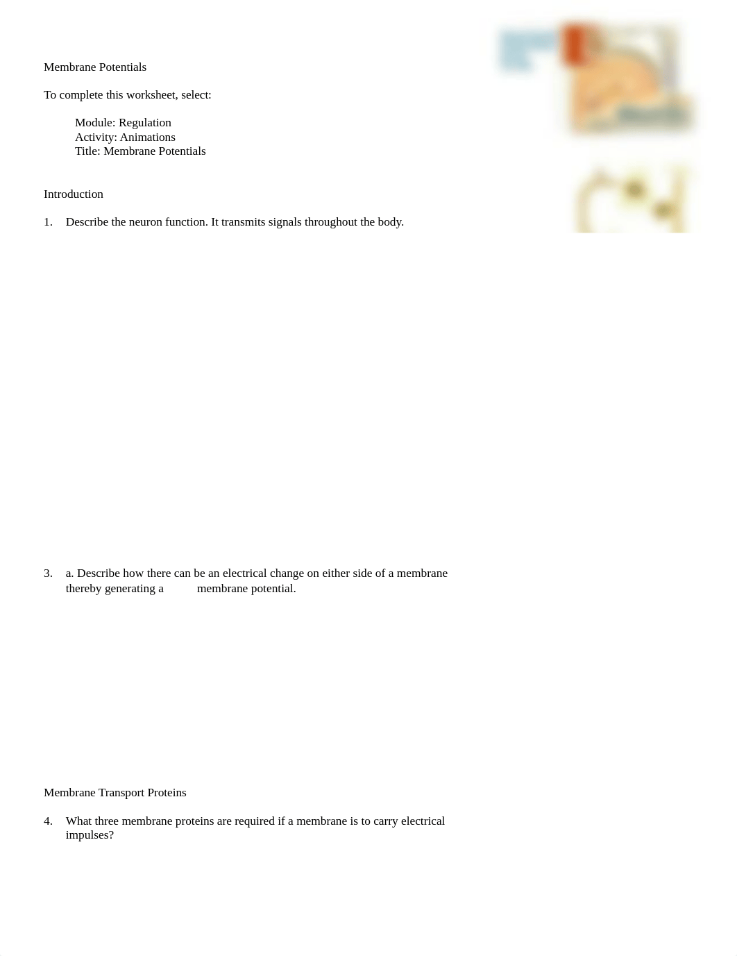 Membrane potential.doc_dvfcgaen6vd_page1