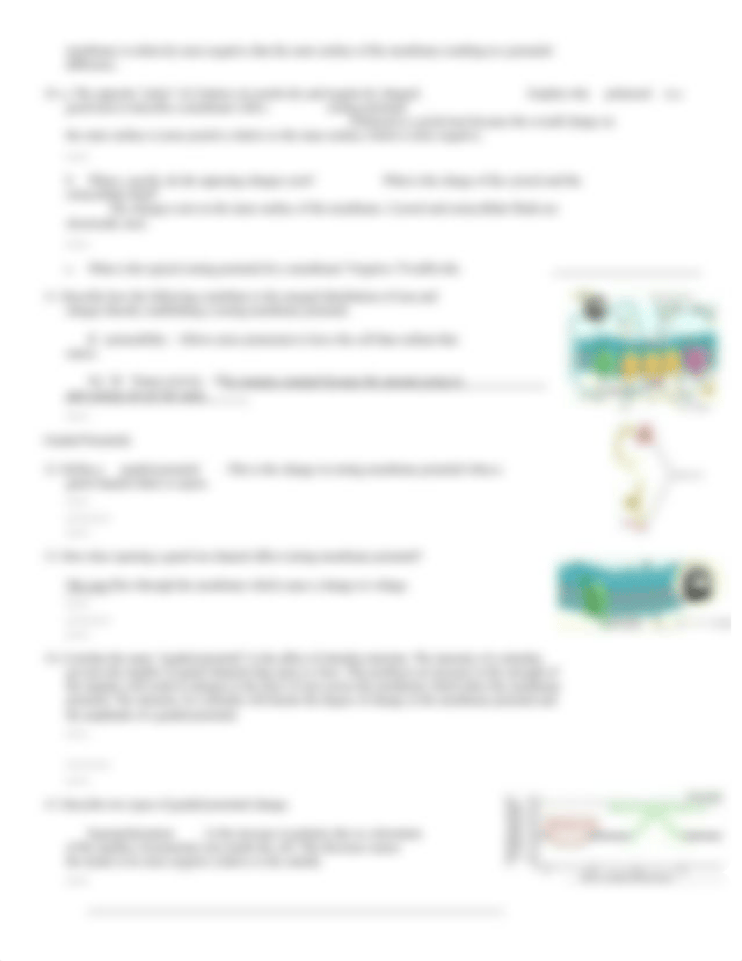 Membrane potential.doc_dvfcgaen6vd_page3