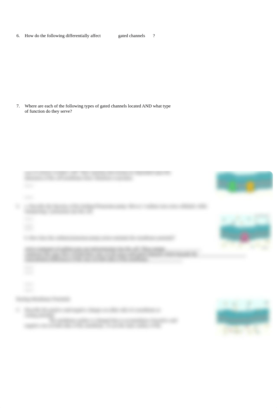 Membrane potential.doc_dvfcgaen6vd_page2