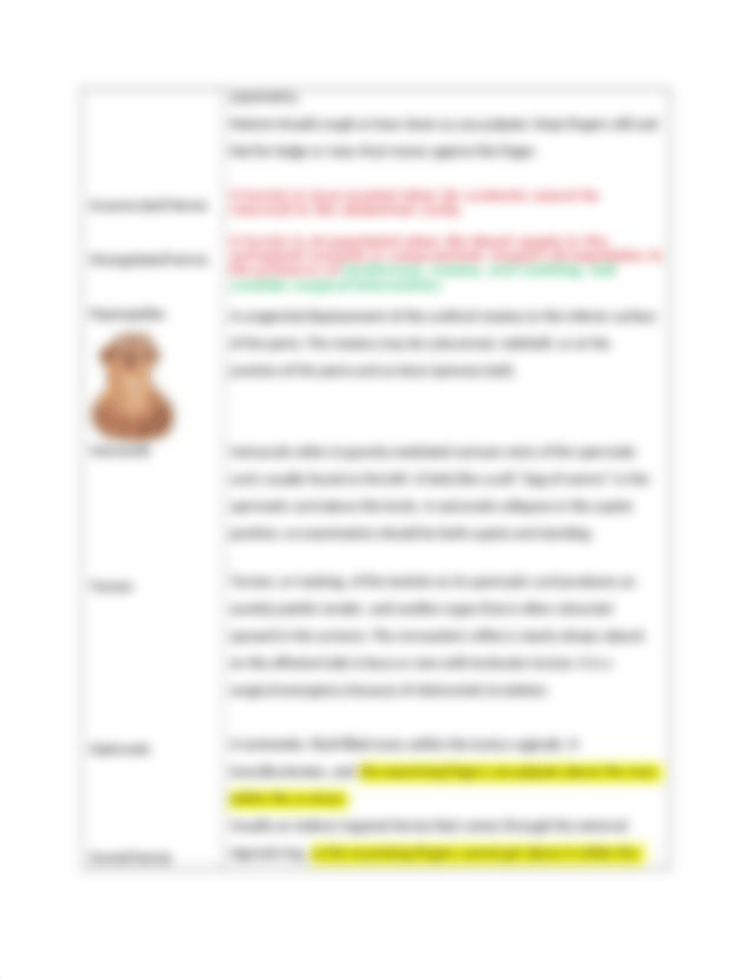 Salako_ Chapter 13 Male Genitalia and Hernias.docx_dvfoduq762g_page2