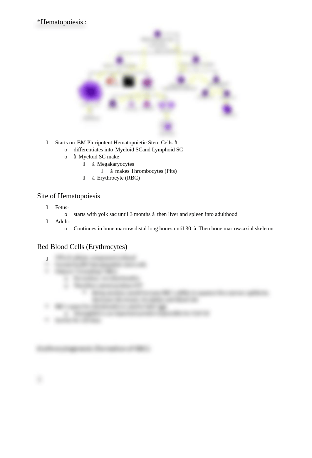 Blood Physiology Week 10.docx_dvfsvrtx21c_page3