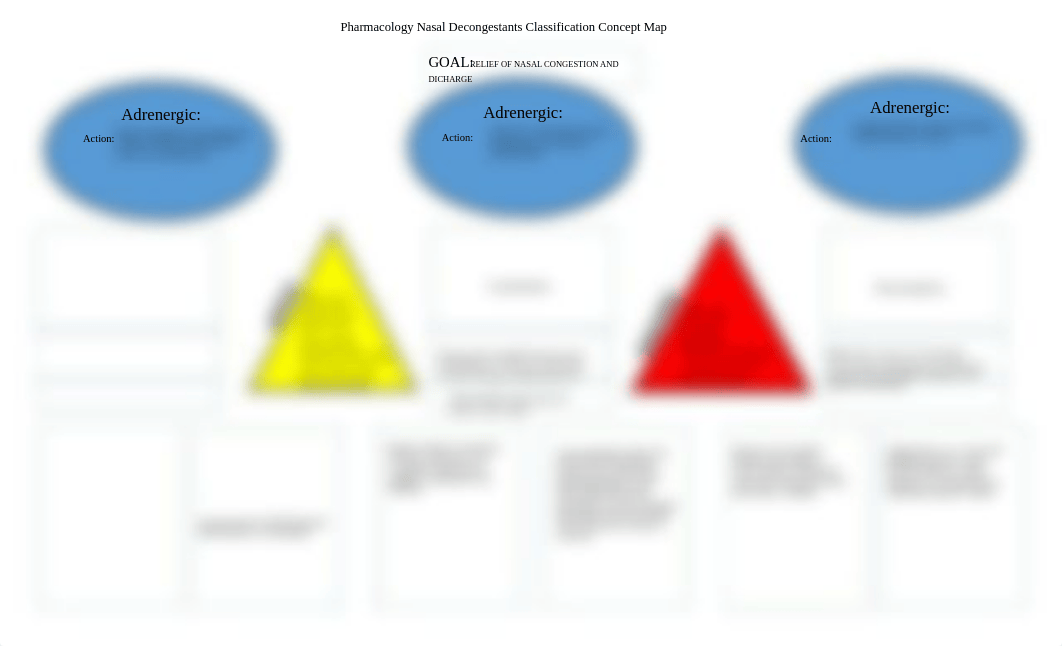 completed 1 Nasal Decongestants concept map_dvftfo6yux5_page1