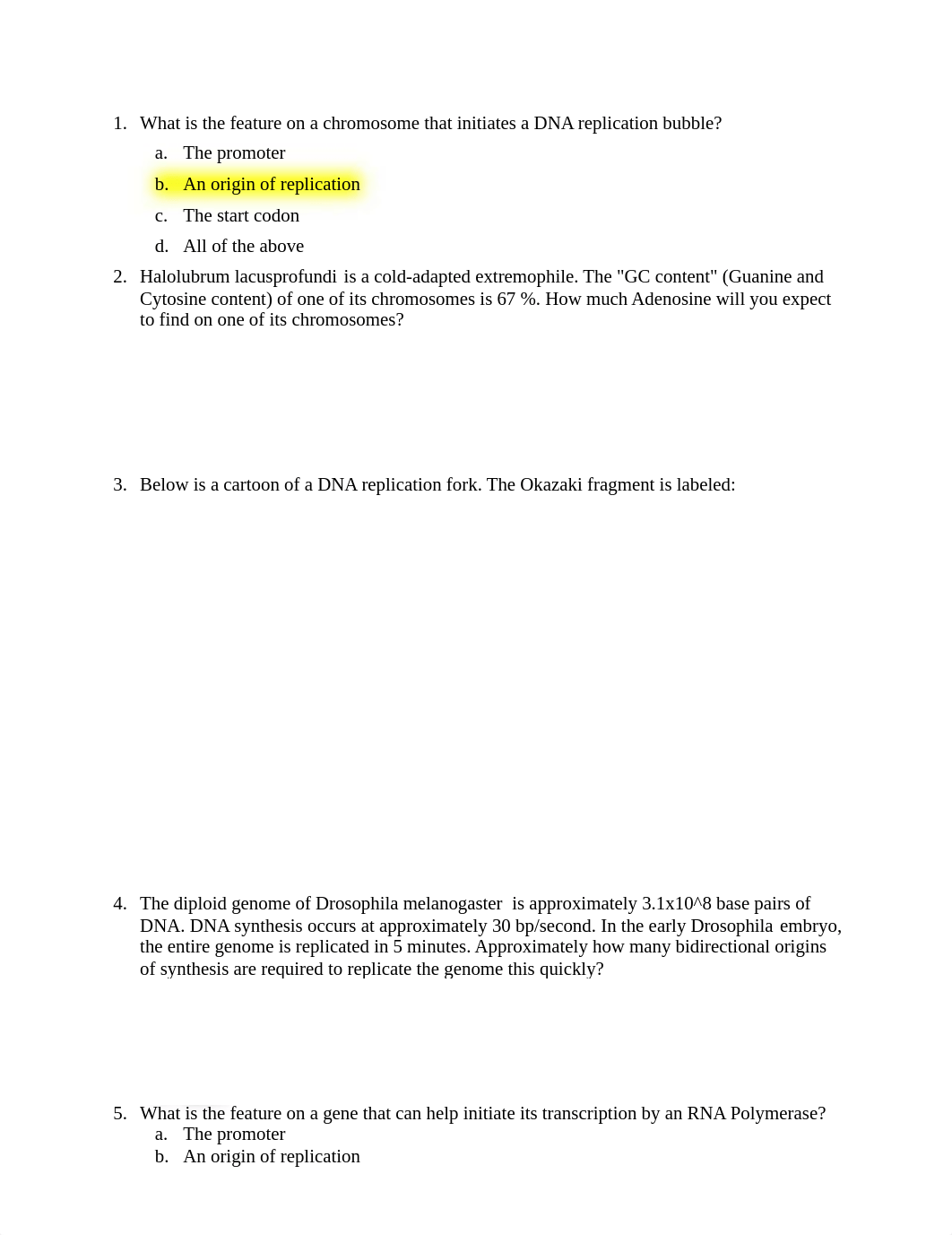 Homework Questions Final Exam Prep.docx_dvfwkxspidp_page1