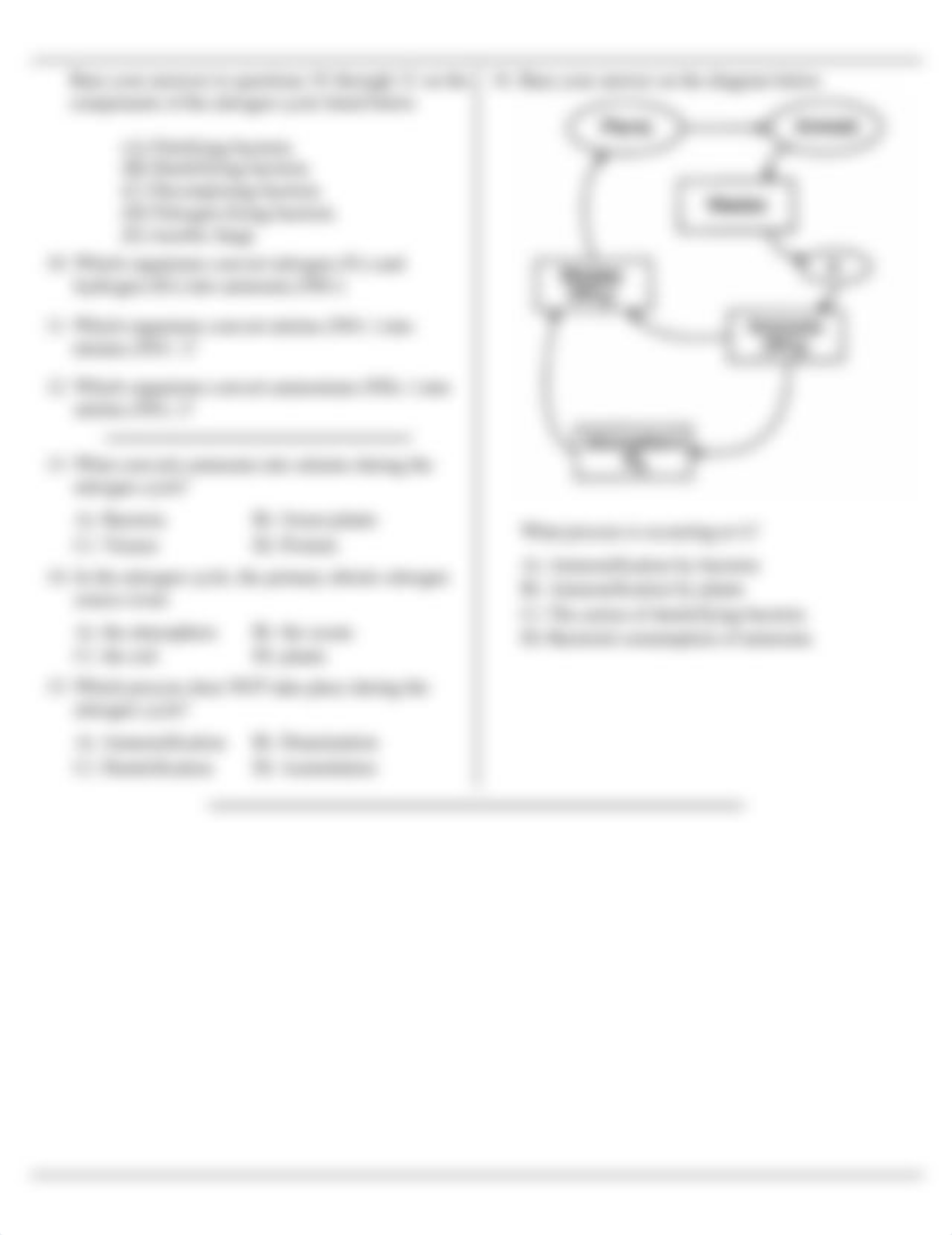 Nitrogen_Cycle_SC.pdf_dvg29p6i19b_page2