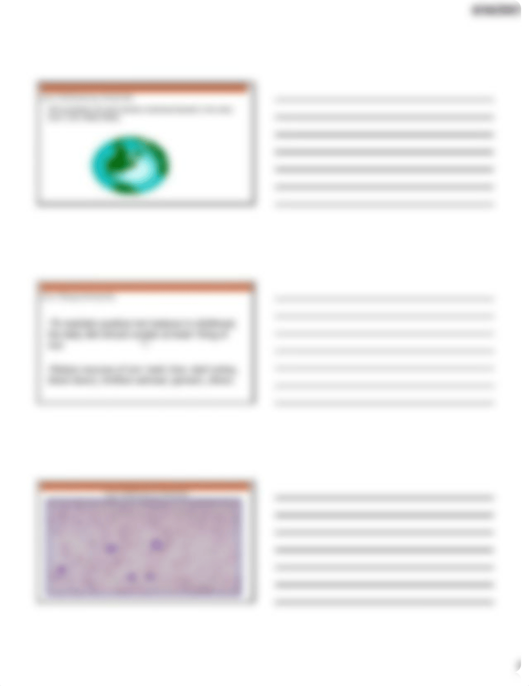 NSG 6665 Hematology Part 1.pdf_dvg50zh5qf2_page5