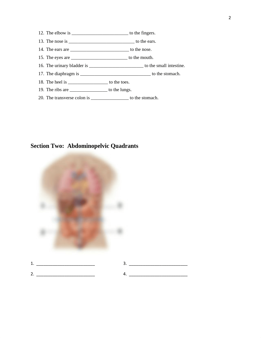 Chapter 1 Intro Lab.pdf_dvg8ei1no3q_page2