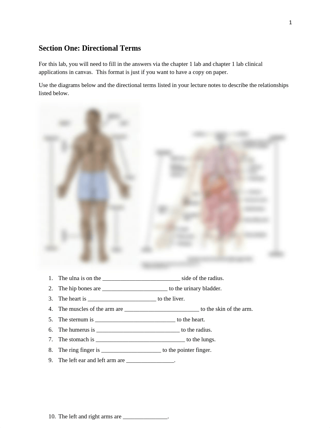 Chapter 1 Intro Lab.pdf_dvg8ei1no3q_page1