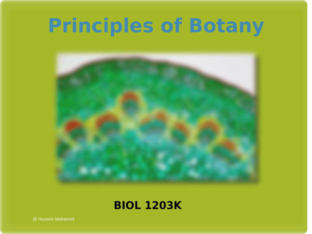 Principles of Botany_Lecture 1 Introduction_Hussein Mohamed.pptx_dvga6hxogz9_page1