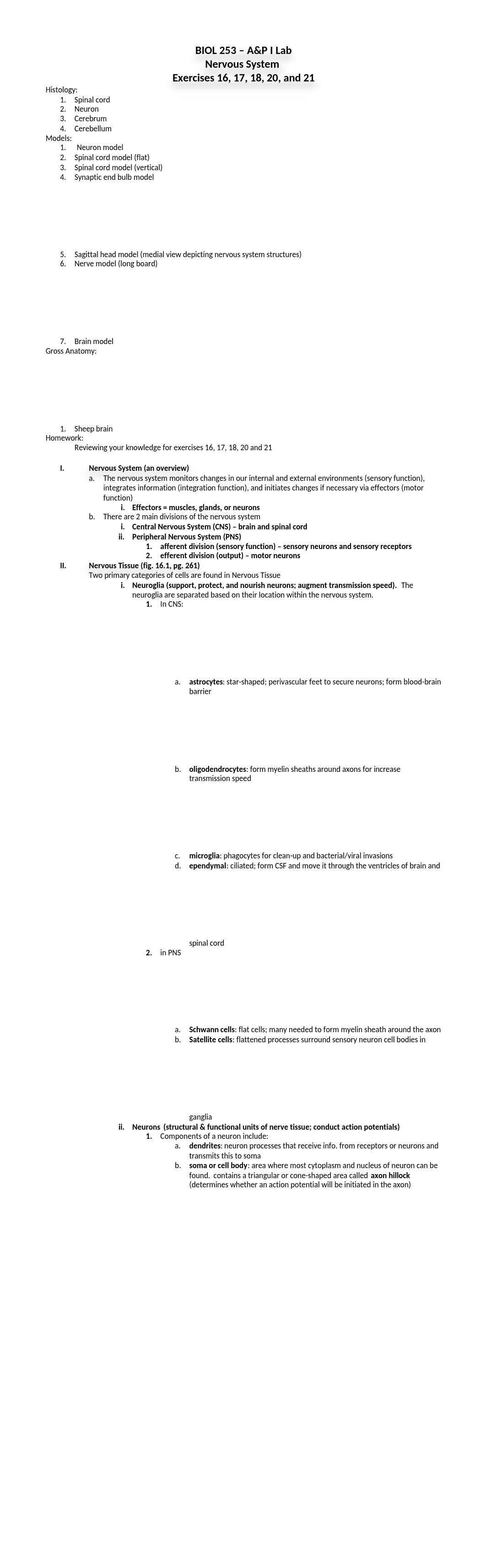 The Nervous System handout (Written Only).doc_dvgefhx4vam_page1