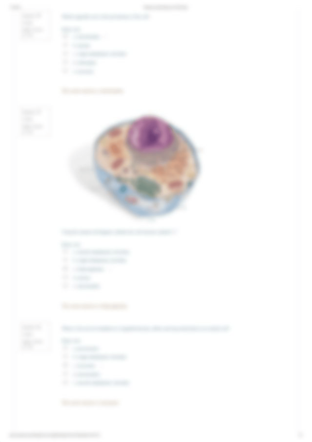 Structure and Function of Cells Quiz.pdf_dvgex77mg47_page2