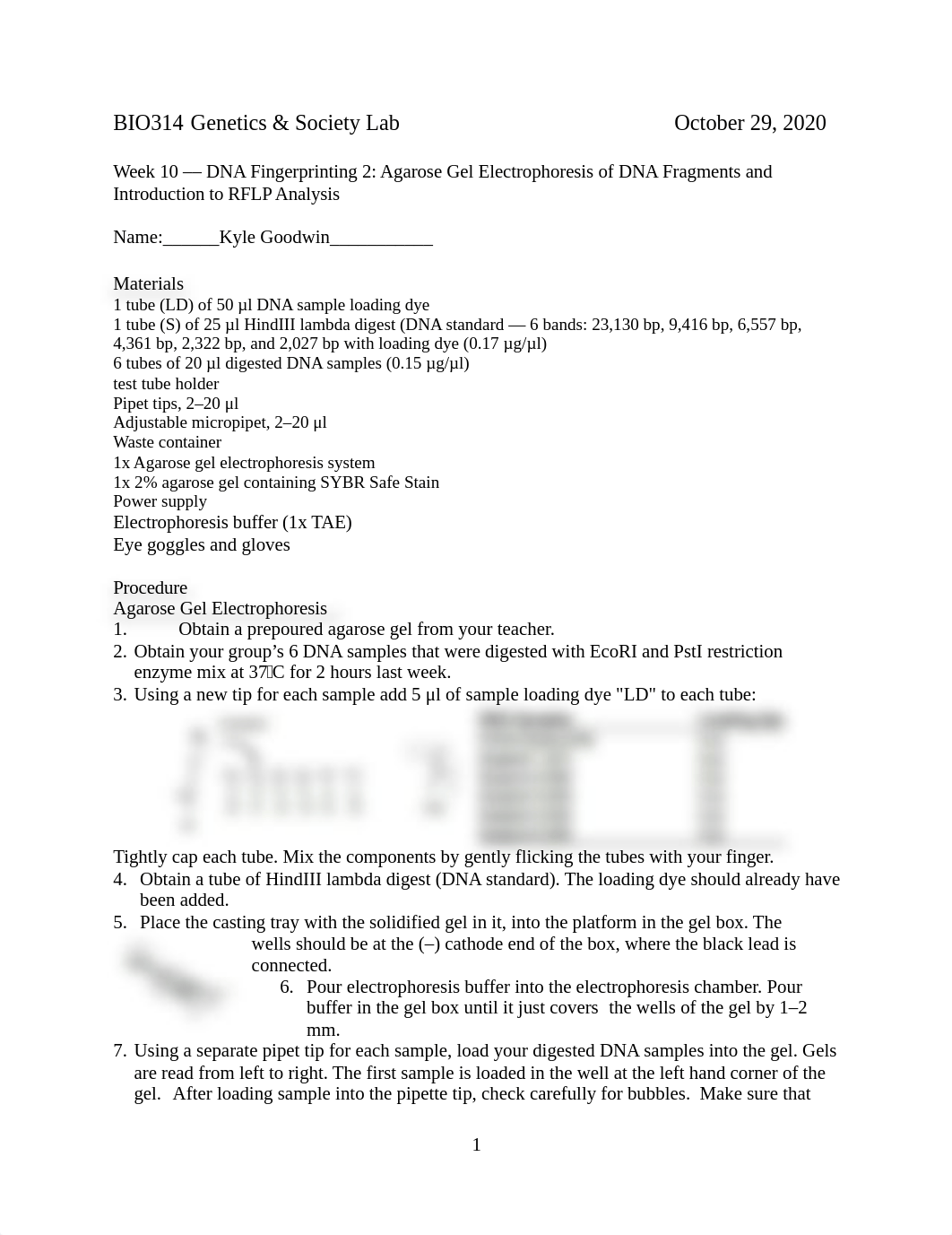 Week_10 DNA Finger Printing W2 lab report.docx_dvgnio3jhoz_page1