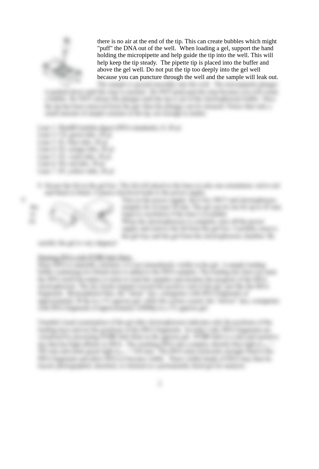 Week_10 DNA Finger Printing W2 lab report.docx_dvgnio3jhoz_page2