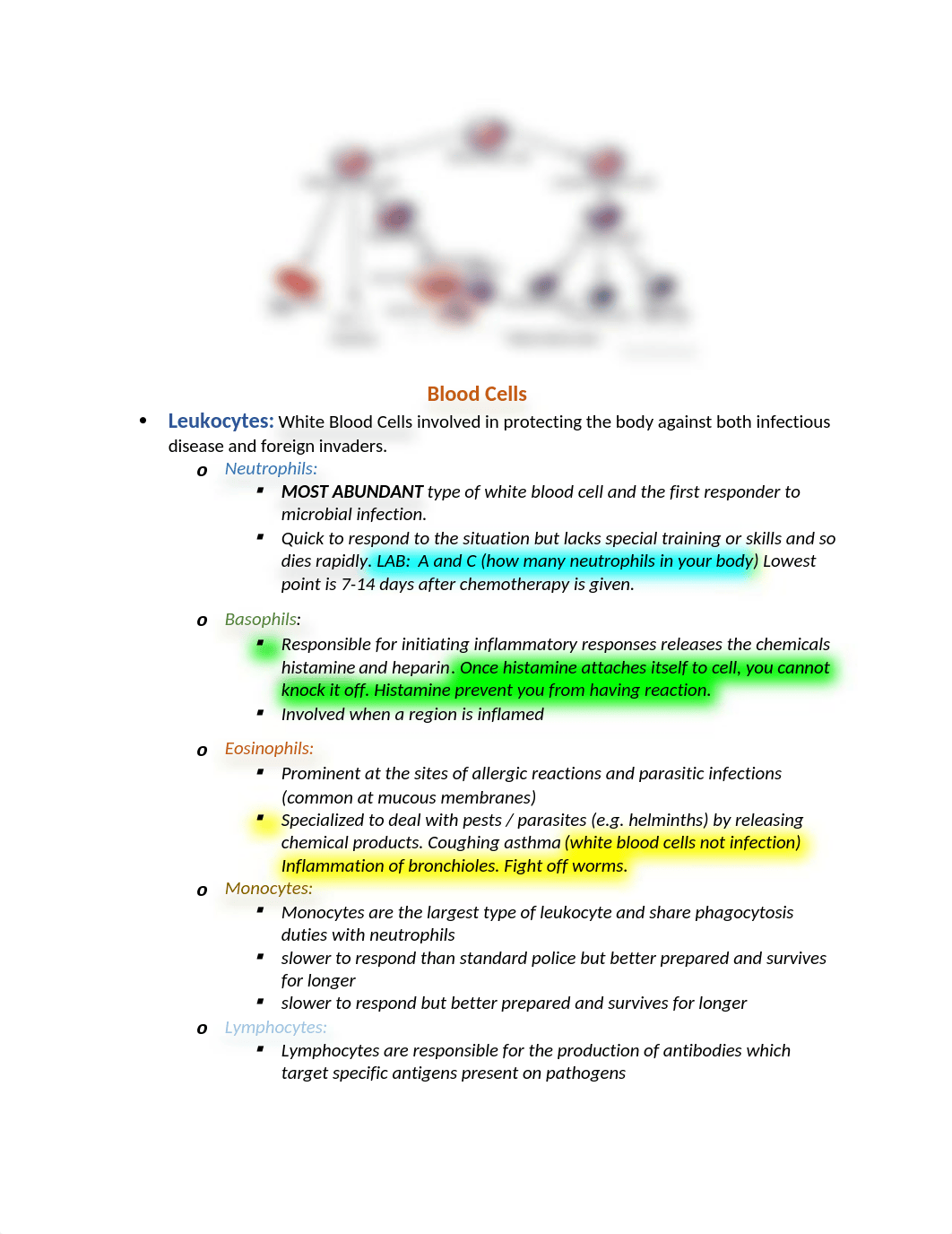 chapter31notes.docx_dvgphyh4c5a_page3