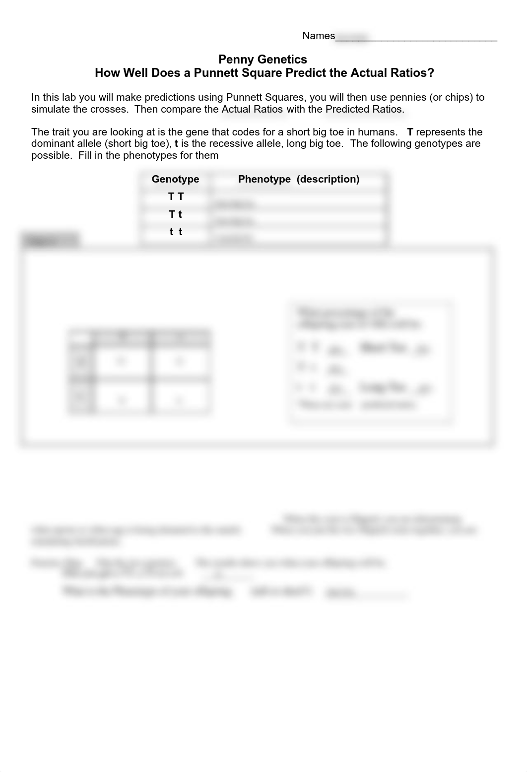 Genetics Lab_dvgq0j5m0n9_page1