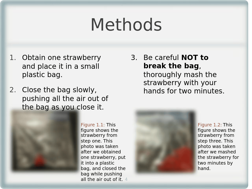 BIO Lab 4 Strawberry DNA Extraction.pptx_dvgr3mz4ify_page4