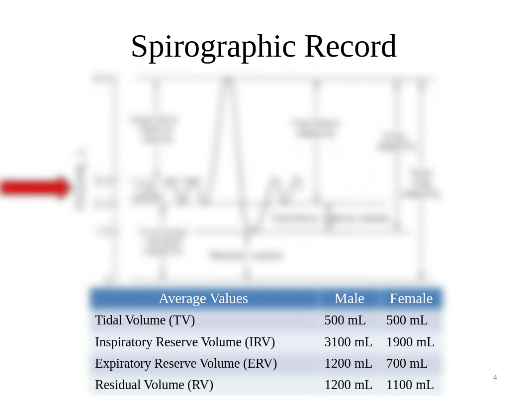 Bio 108 Lab 8 Spirometry.pdf_dvgt3e5b576_page4